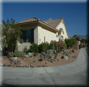 Ultra Low Maintenance Garden